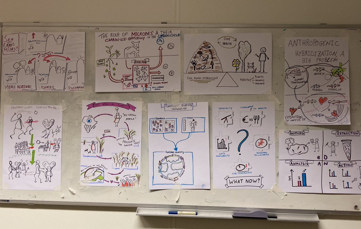 Sophie Planchenault (@sophieplancht) on Twitter photo Yesterday <a href="/cml_biodiv/">Biodiversity Research Leiden University (CML)</a>, Evelien Castrop and I hosted a workshop on science visualization. Ellen van Heijst showed us how to simplify complex ideas through impactful drawings. Really helpful to break down concepts and be more efficient in making figures! #scicomm #biodiversity Yesterday <a href="/cml_biodiv/">Biodiversity Research Leiden University (CML)</a>, Evelien Castrop and I hosted a workshop on science visualization. Ellen van Heijst showed us how to simplify complex ideas through impactful drawings. Really helpful to break down concepts and be more efficient in making figures! #scicomm #biodiversity