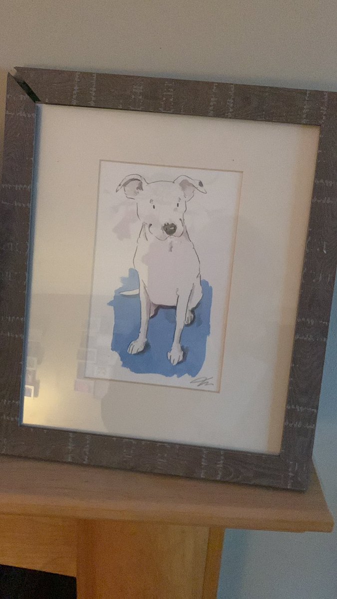 kayaker0711's tweet photo. @iaindwelch I love your pictures Ian. I have one at home of my beautiful boy who I lost two years ago. Seeing them makes me smile every day. Thank you for posting them x https://t.co/GOEZteTdcR