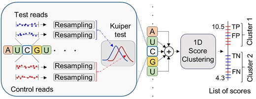 Over the past few decades, it has become increasingly clear that epigenetic and epitranscriptomic modifications are crucial in regulating a wide range of functions across all forms of life. These modifications affect major biological processes, including those responsible for