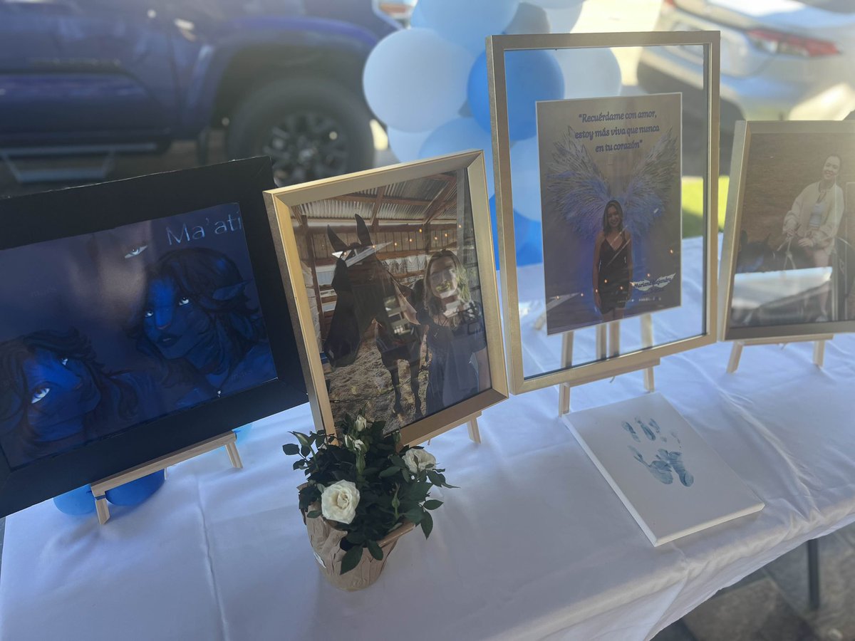 JayDoesYT20's tweet photo. Words can’t express how much I’m gonna miss you Mariane you were gone too soon… i see you up there soon my friend… 💔🕊️ https://t.co/73poEkT7b5
