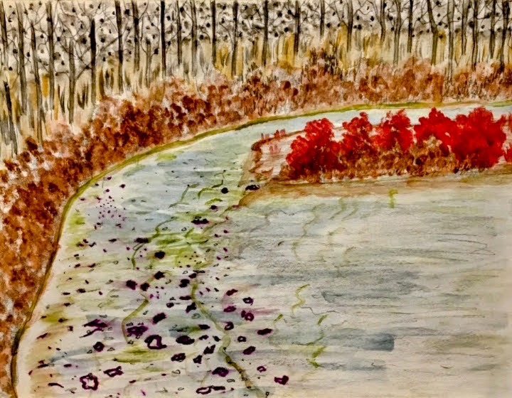 kjk3020's tweet photo. My Watercolors Painting... Streamscape. #woods #waterstream #shrubs #pebbles #sand #watercolors #art https://t.co/VlWltSPmC5