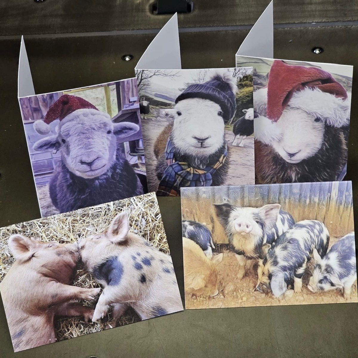 Check out these very cute, festive greetings cards for our friends at Wild Shack🎄

Do you have your company Christmas cards ordered yet? This is something we'd love to help you with. Just give us a call &amp; let's discuss some ideas📞01226 740498⠀⠀⠀⠀⠀⠀⠀

#christmas2024