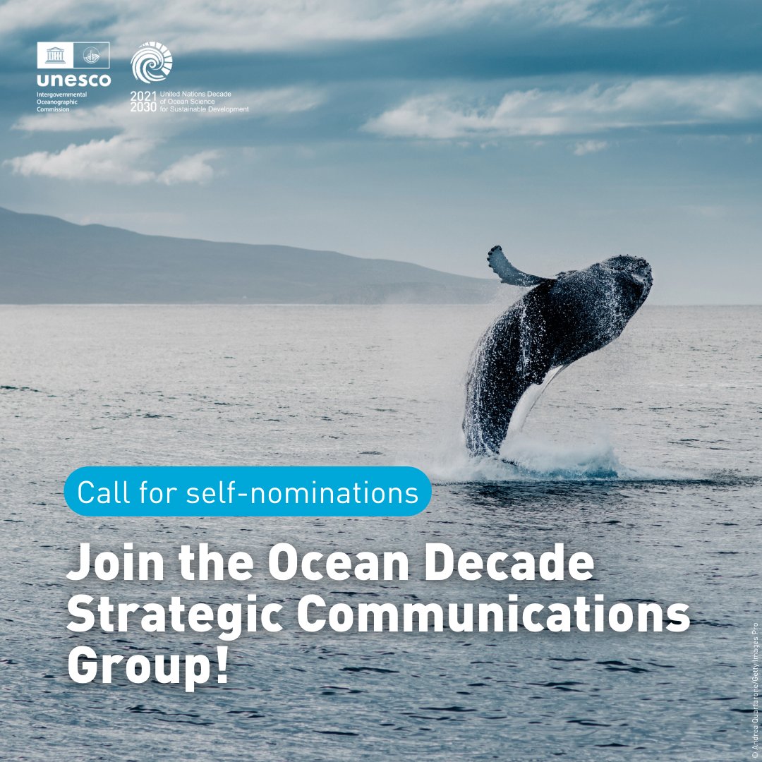 UNOceanDecade's tweet photo. π Are you an expert communicator with a passion for the ocean?
Join us! We are looking for volunteer communications professionals to join the Ocean Decade Strategic Communications Group.
Apply here by 31 December, 23h59 CET: https://t.co/uPK2esjlzP
#OceanDecade #OceanComms https://t.co/Z3U7mdFDjt