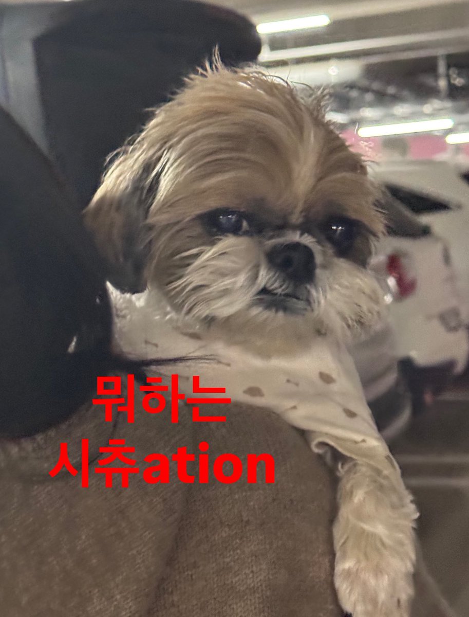 뽁딱 (@bbokttak2) on Twitter photo 