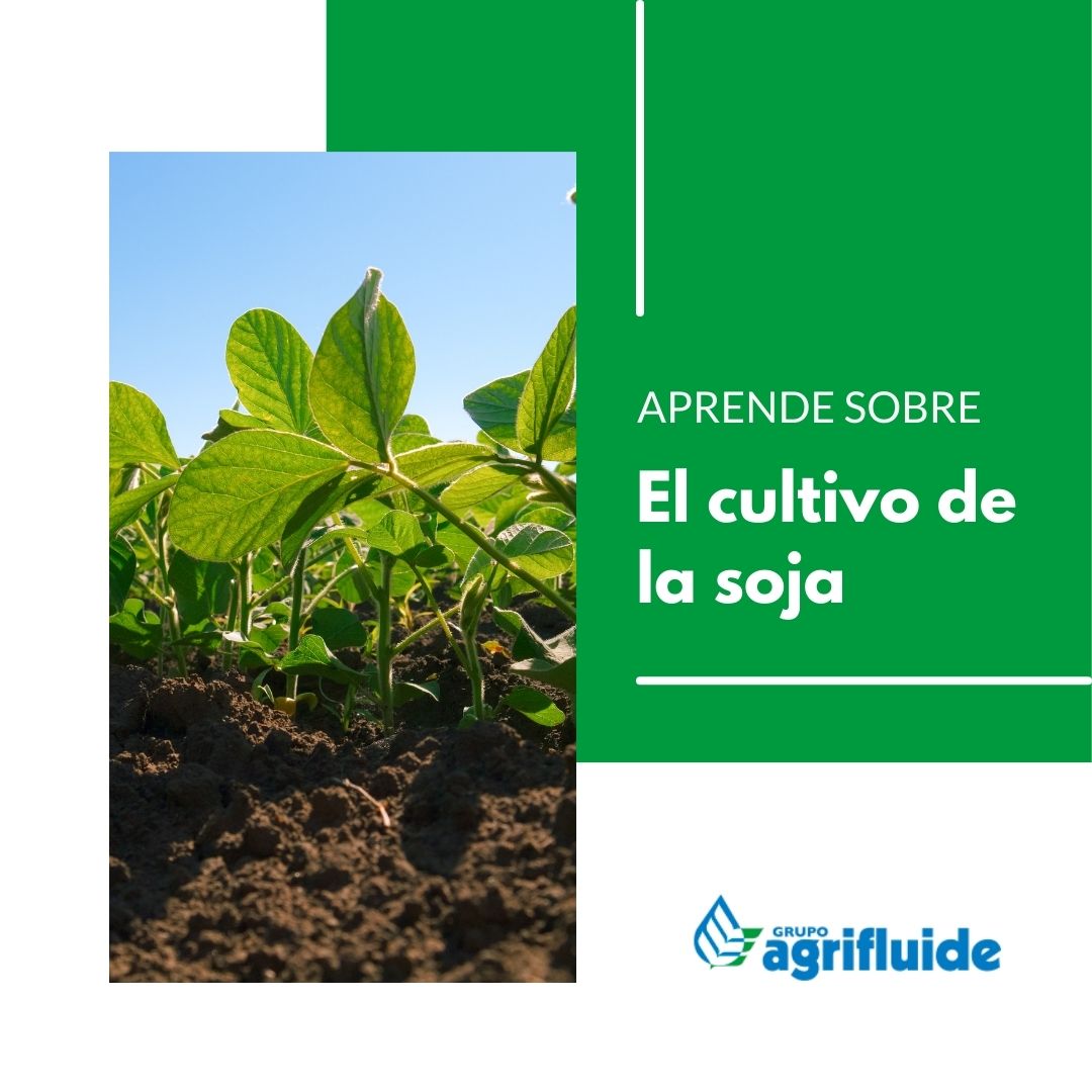 Agrifluide, SL tweet media