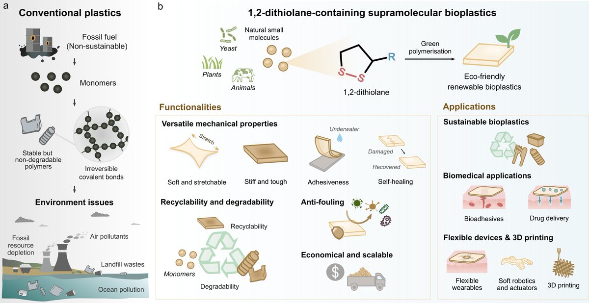 Iek Man Lei (@iekmanlei) on Twitter photo 🌟Check out our latest review!
We explore the potential of #biogenic five-membered disulfide (e.g. thioctic acid) to create #green #polymers with diverse mechanical properties, self-healing and advanced functionalities🎉<a href="/ZehuanH/">Zehuan Huang</a> <a href="/UM_1981/">University of Macau</a>
👉Read more: doi.org/10.1016/j.prog… 🌟Check out our latest review!
We explore the potential of #biogenic five-membered disulfide (e.g. thioctic acid) to create #green #polymers with diverse mechanical properties, self-healing and advanced functionalities🎉<a href="/ZehuanH/">Zehuan Huang</a> <a href="/UM_1981/">University of Macau</a>
👉Read more: doi.org/10.1016/j.prog…