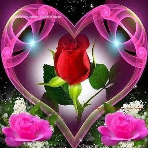 CedricC66046's tweet photo. @mandy49960 https://t.co/Ed1b6NWbRG
