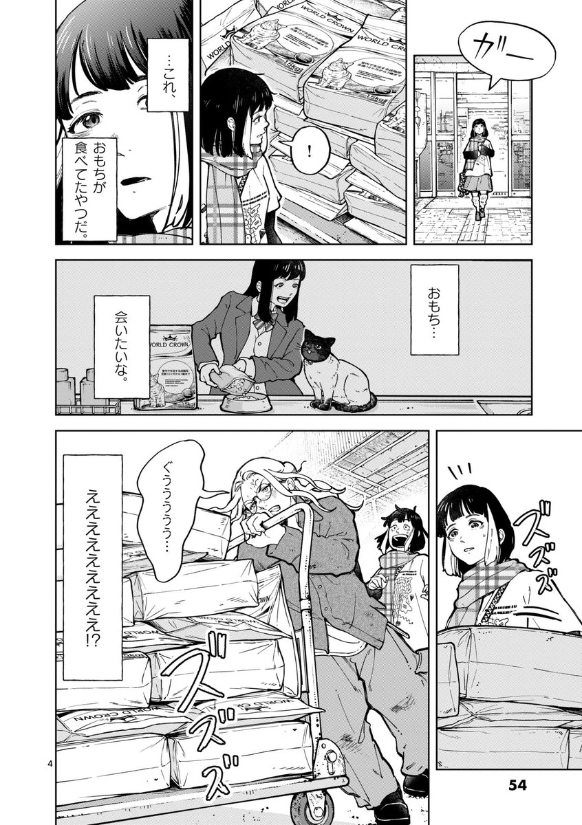 引き取り手のないネコの悲痛な現実… (1/9) 