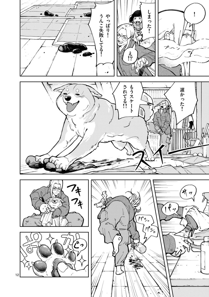 引き取り手のないネコの悲痛な現実… (3/9) 