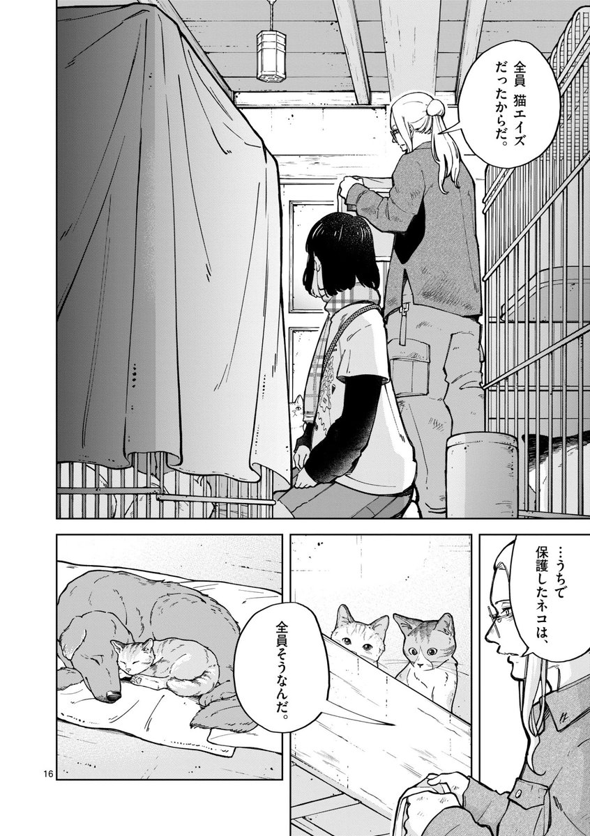引き取り手のないネコの悲痛な現実… (4/9) 