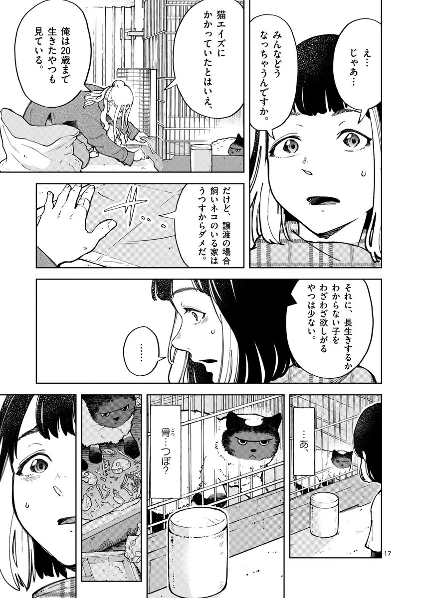 引き取り手のないネコの悲痛な現実… (5/9) 