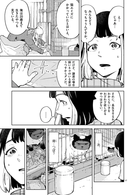 引き取り手のないネコの悲痛な現実… (5/9) 