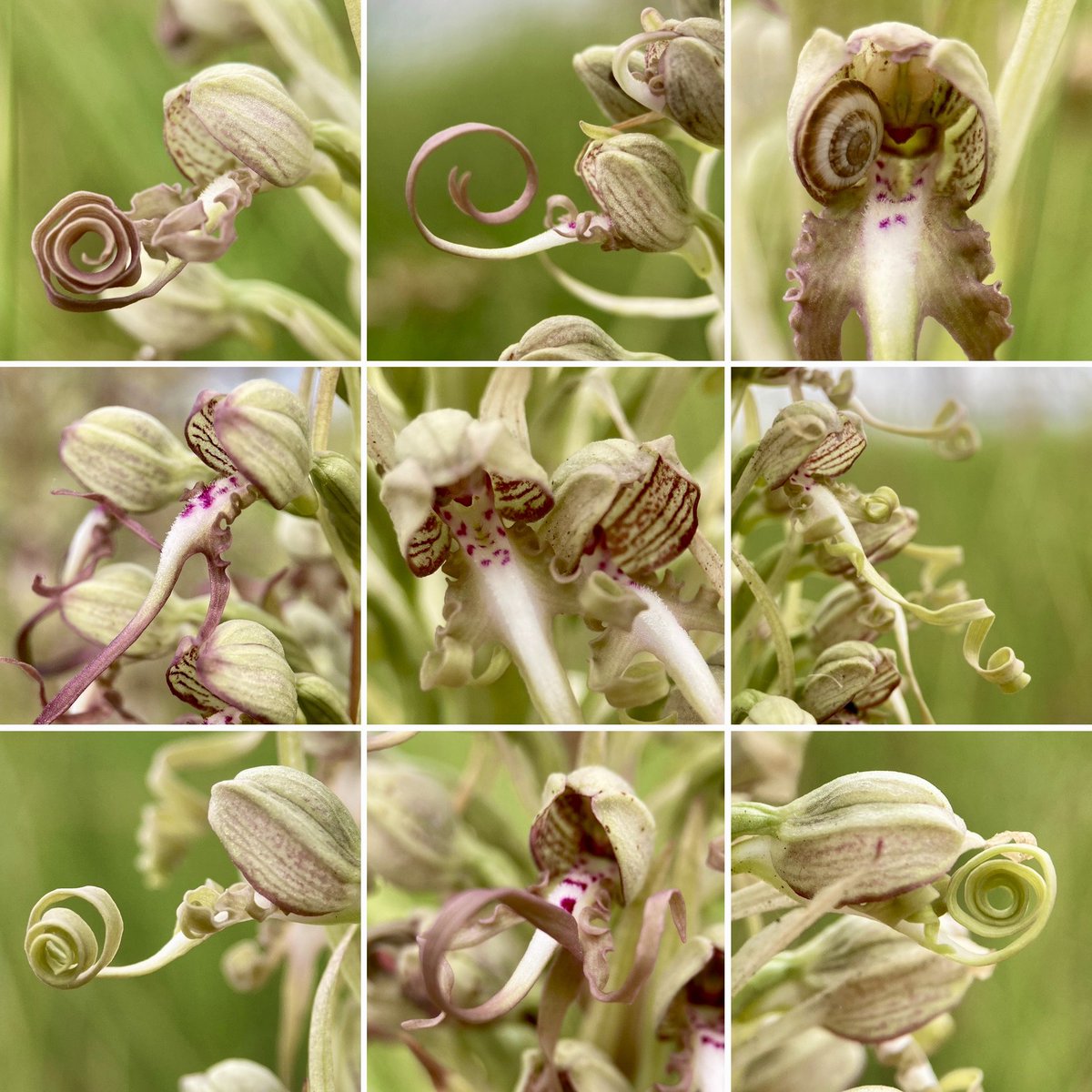 Steve Parsons 💙 tweet media