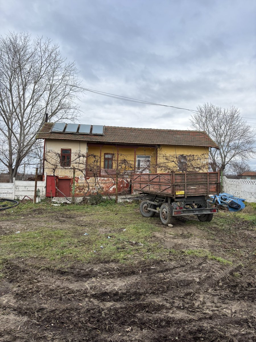 Oana Olteanu tweet media