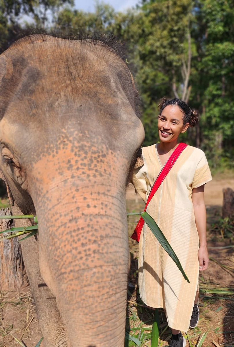🐘 Elephant Freedom Village 🐘
Chiang Mai, Thailand