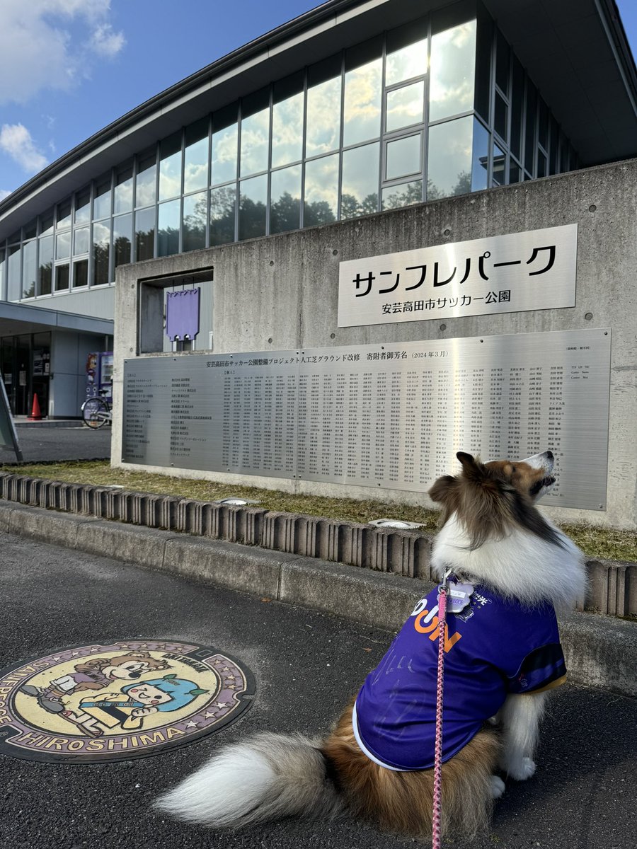 asako_0602's tweet photo. 並べました😭😭😭会社と色々大感謝😭(会社に理由は伝えてません笑 https://t.co/sMefBL3lkT