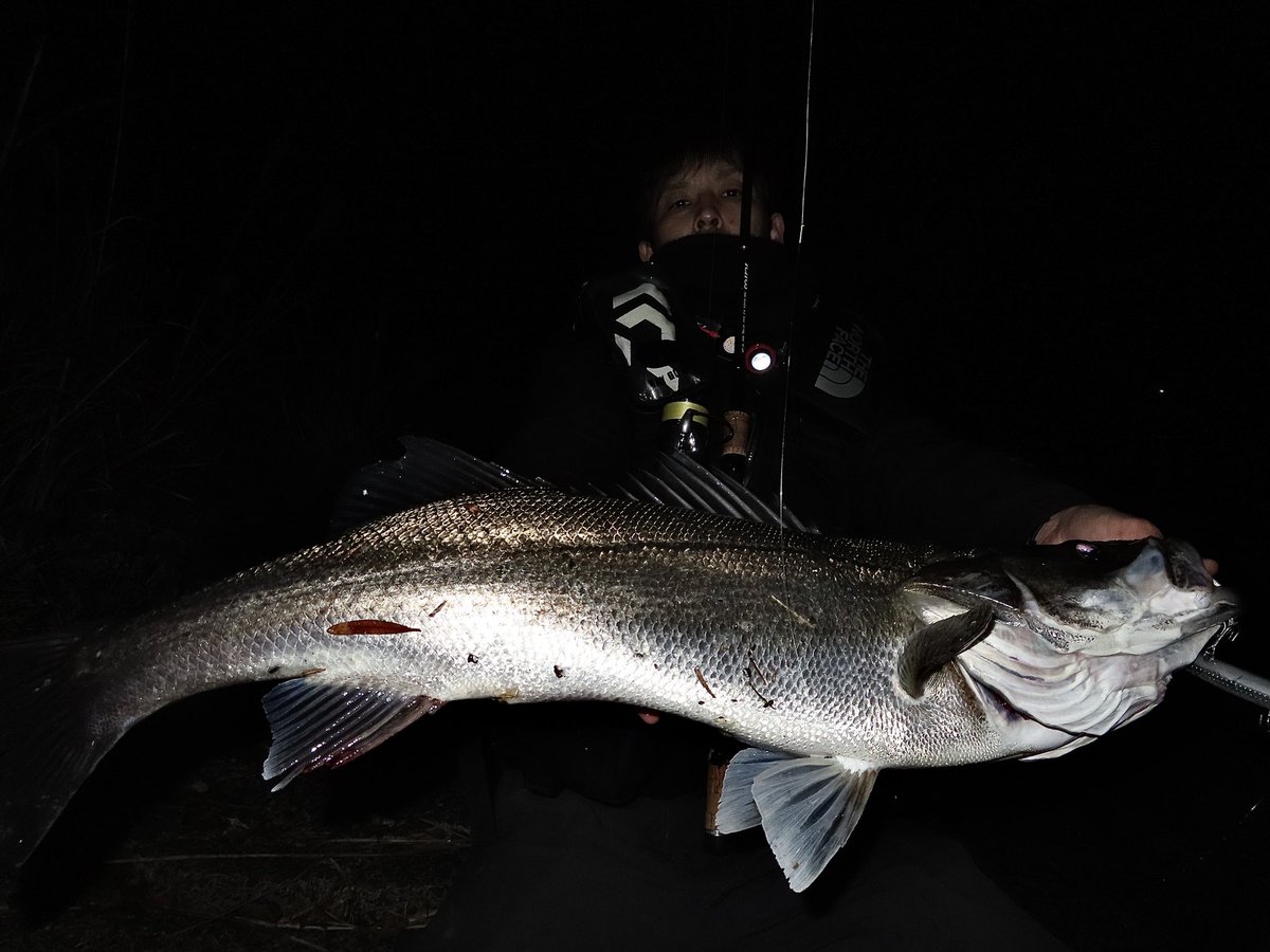suzu_fishing_'s tweet photo. 下げのタイミングでエントリー。
　　ライン先行で流しここでって言う所で巻き入れて再び流し始めにドスっといぃサイズが来てくれました。ラムタラに感謝！
#山陰　#中海　#鳥取 #ICHOS83 #daiwa #exist4000 #apia #lammtarrabadel130#チャートやん
#rbb https://t.co/XPFx1Ql3s1