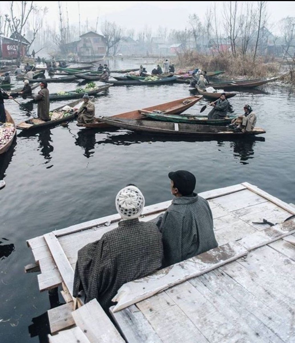 bintekashmir09's tweet photo. Good Morning #Kashmir ❄️🥶
#WINTER #winter_ahead_is_coming 
#dallake #JammuAndKashmir #kashmiri #pehran #BOAT https://t.co/zzGzuHJdqc