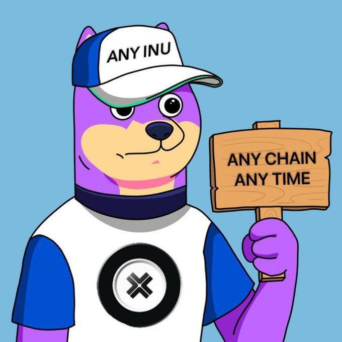 🌐 Any chain
⏰ Any time
🐶 Any Inu
