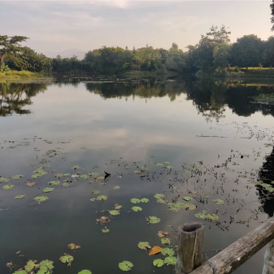 Visit_Niuland's tweet photo. Reel in the Fun! Zuheshe Lake in Niuland offers an unforgettable fishing experience amidst breathtaking scenery. #NiulandTourism #ZuhesheLake #FishingAdventures
#MinistryofTourism#SwadeshDarshan 2.0#incredibleindia#indiatourism#sustainabletourism #responsibletourism#dekhoapnadesh https://t.co/Wgabi7XEvV