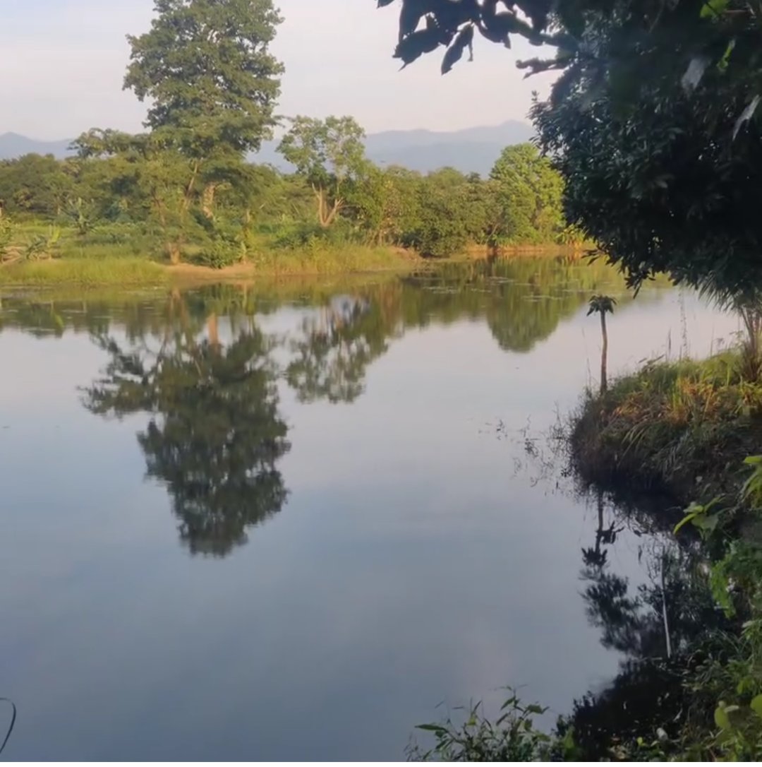 Visit_Niuland's tweet photo. Reel in the Fun! Zuheshe Lake in Niuland offers an unforgettable fishing experience amidst breathtaking scenery. #NiulandTourism #ZuhesheLake #FishingAdventures
#MinistryofTourism#SwadeshDarshan 2.0#incredibleindia#indiatourism#sustainabletourism #responsibletourism#dekhoapnadesh https://t.co/Wgabi7XEvV