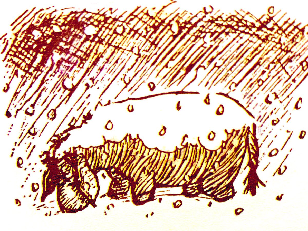 A.A.Milne tweet media