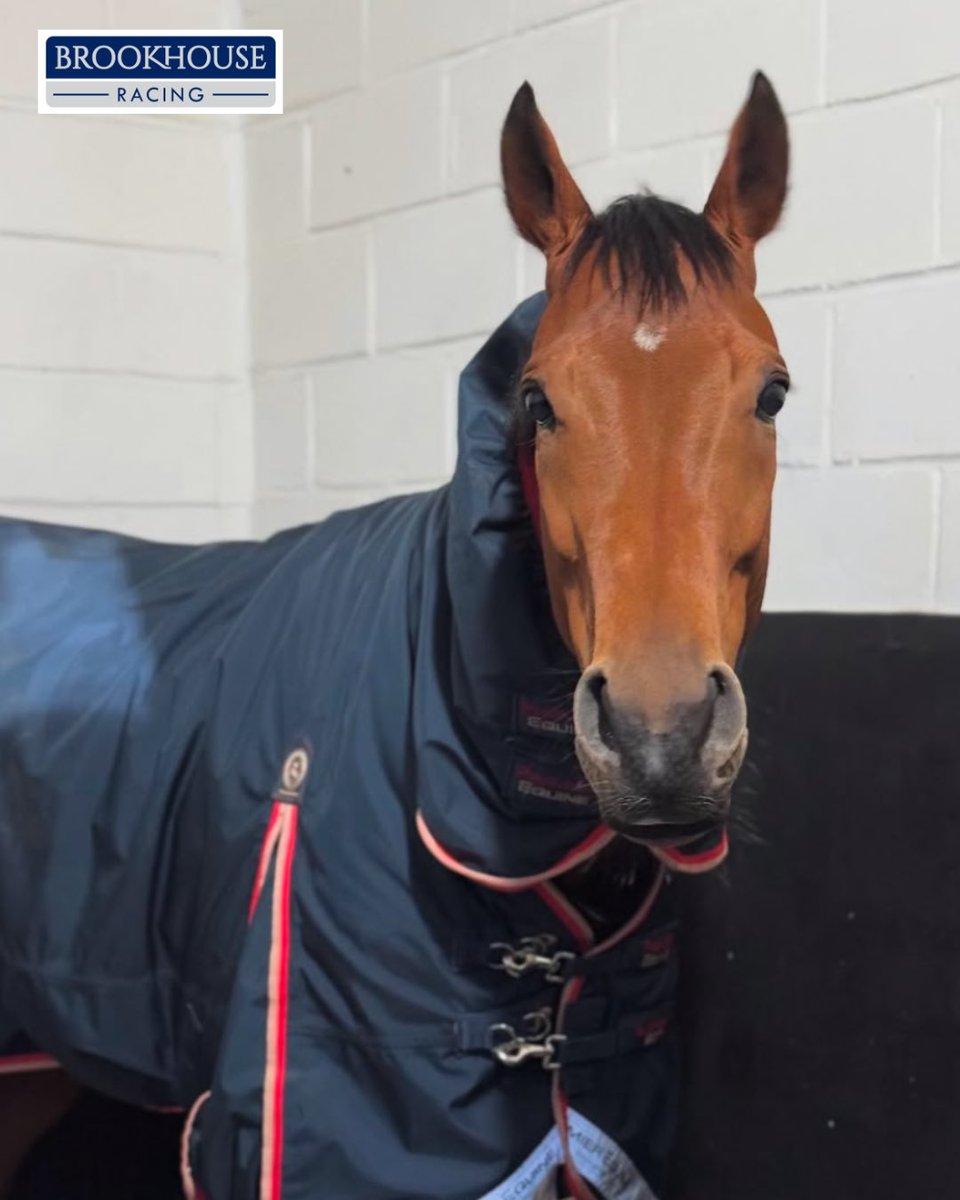 Brookhouse Racing tweet media