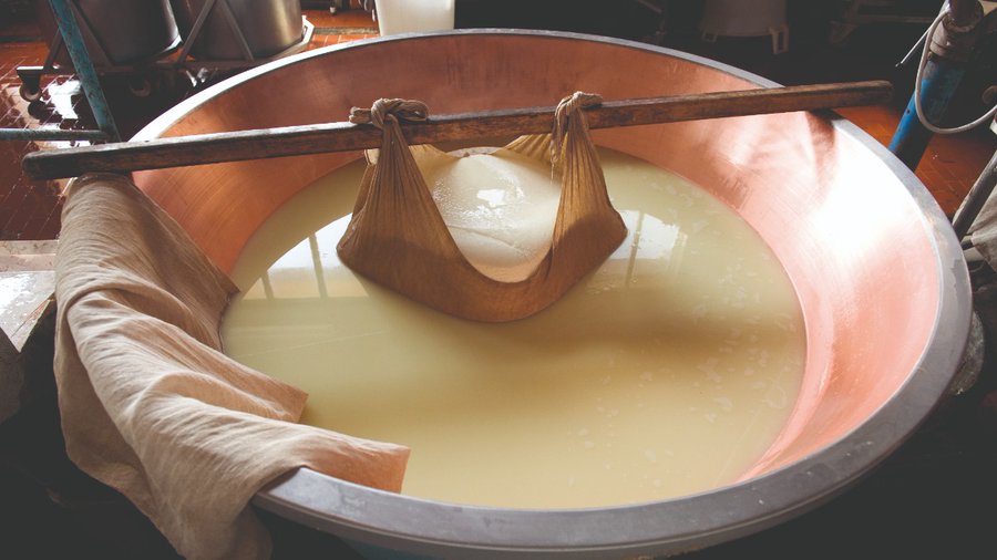 ParmesanAus's tweet photo. #DidYouKnow #ParmigianoReggiano is made with zero additives or preservatives? https://t.co/bRKnvctmn0