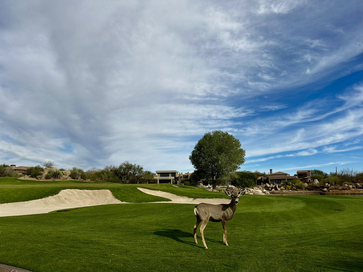 Gareth Williams tweet media