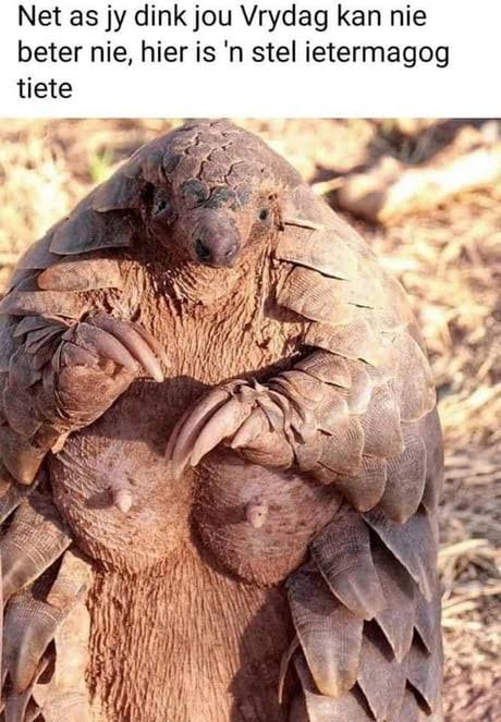 Stevo (Steve-oh!) (@abortabort_) on Twitter photo 