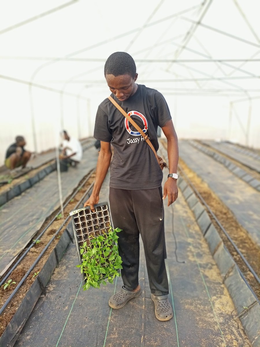 cyrilabara's tweet photo. Thank God for the successful training and enlightenment, we called a wrap for the latest entrepreneurs and farmers. A very big thanks to everyone who had sure that my stay here was smooth and hunger free.
@sFarmLab #EYiATITANS
@Samsonprolific @Nwakpadolu https://t.co/3pRi1MvaEE