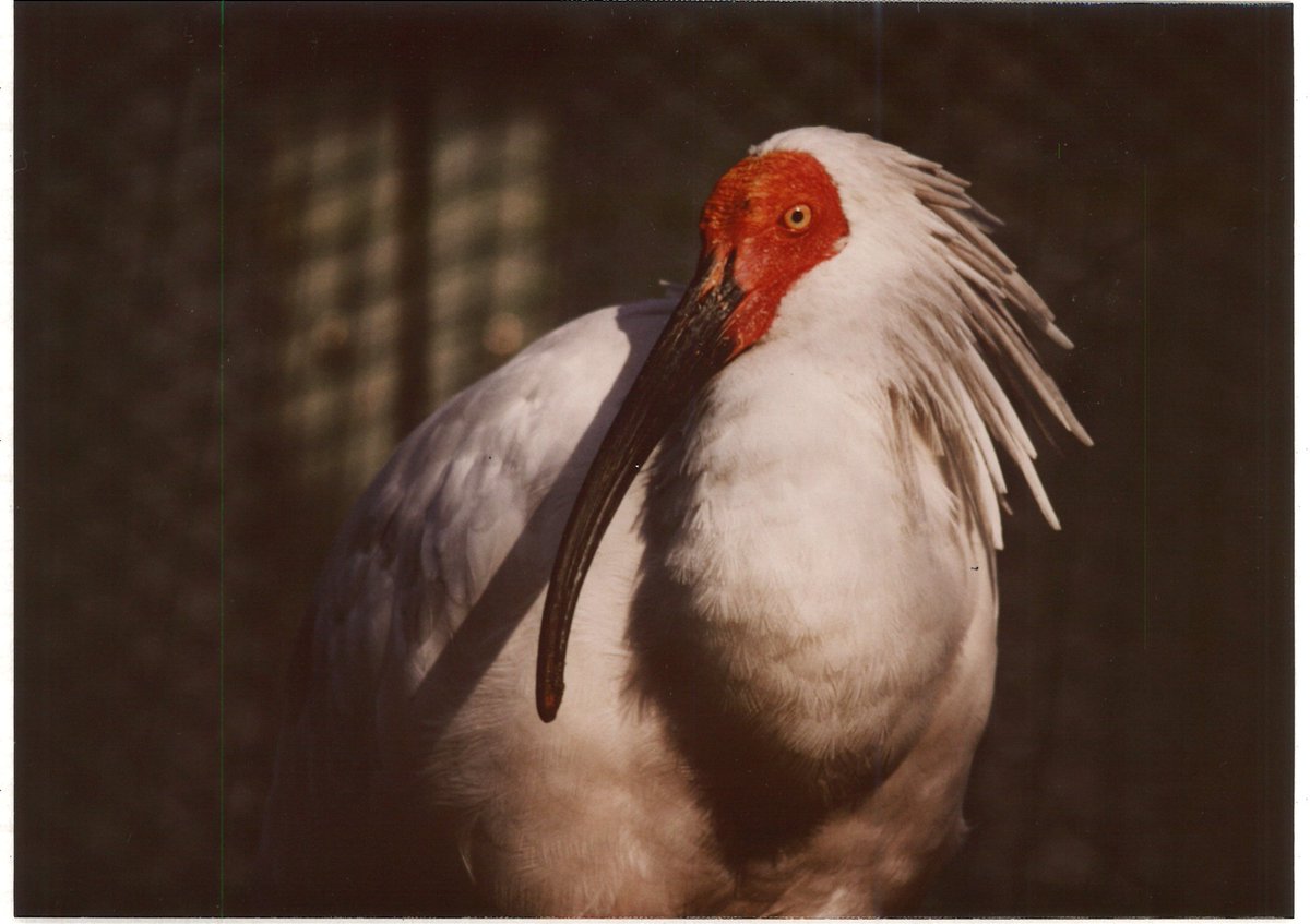 今年の漢字は「キン」】 2024年の今年の漢字は「金」でしたね。 佐渡に