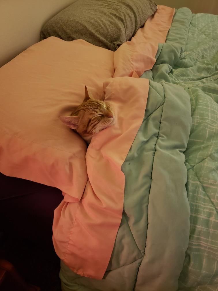 “i will do it when i get home”

me when i get home: