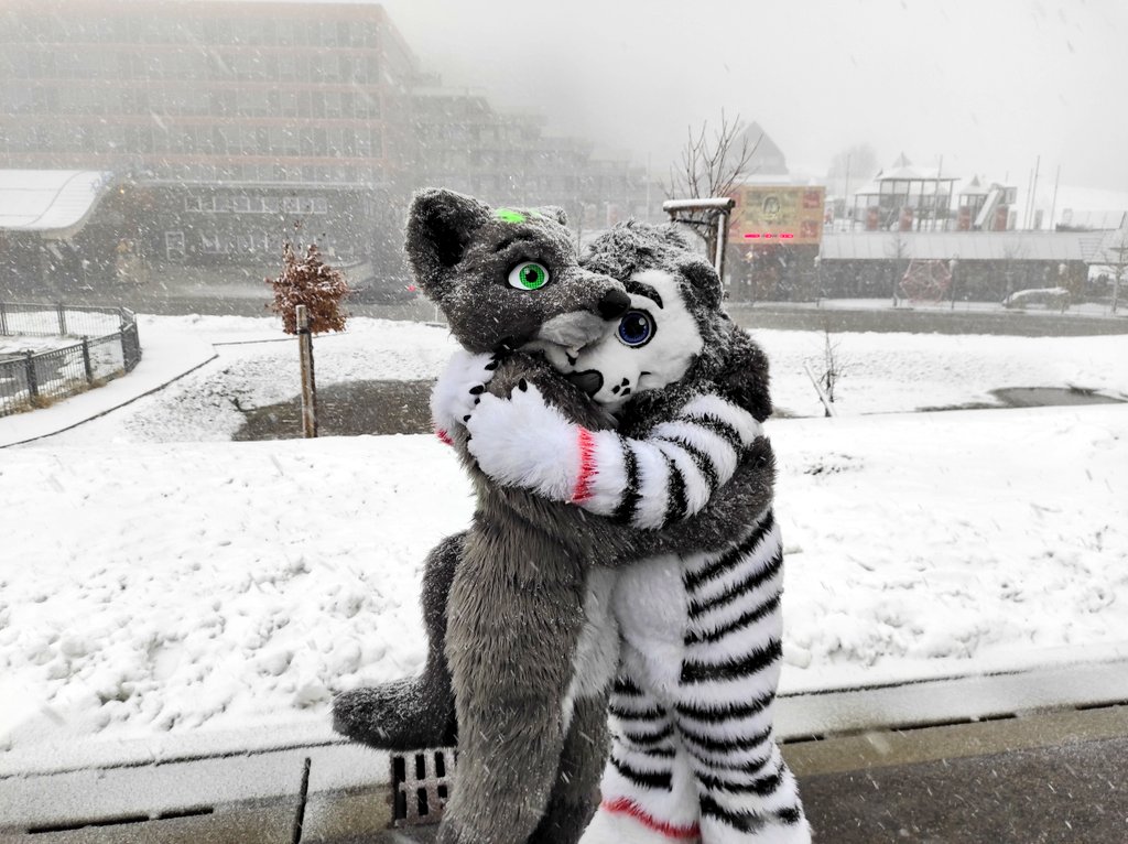 WhhiteLionn's tweet photo. It's cold outside, but we're keeping warm. 😊
🦁@WhhiteLionn
🐺 #apexblack_paw
📷 #amiru
🪡@CeeGeeFursuit: WhiteLion
Happy #FursuitFriday 😄 for everyone. 🥰 https://t.co/gXKoKQF6MW