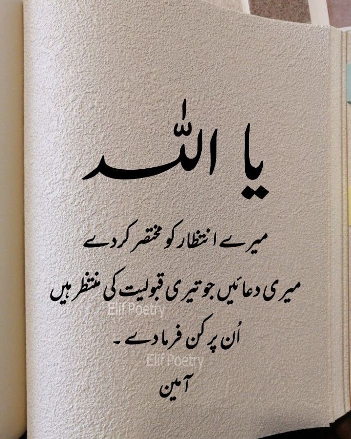 Emaan4891's tweet photo. Jumma Mubarak!
May this blessed day bring peace, blessings, and endless mercy to you and your loved ones. Remember to pray and spread kindness!
جمعہ مبارک!
اللہ تعالیٰ کے فضل و کرم سے یہ مبارک دن آپ کے لیے رحمتیں اور برکتیں لے کر آئے۔ دعا کریں اور دوسروں کے ساتھ محبت اور خیر خواہی بانٹیں