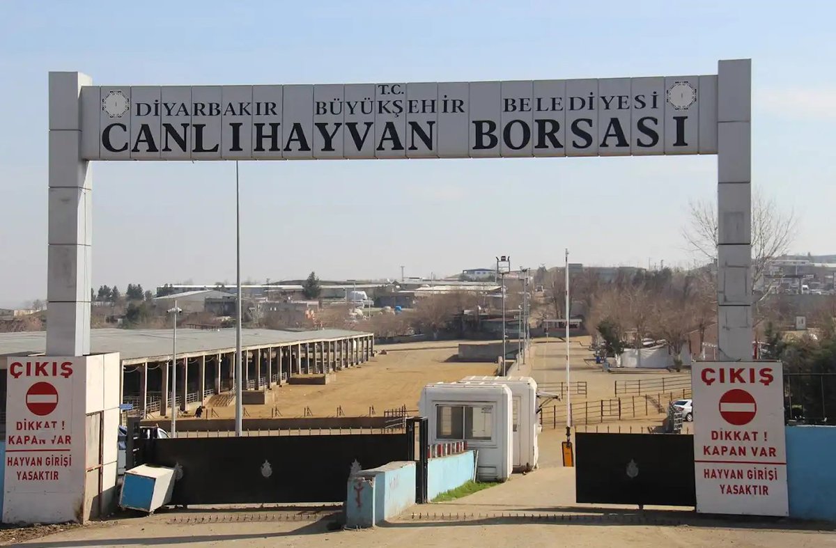 #Diyarbakır'ın #Sur ilçesine bağlı Çarıklı Mahallesinde bulunan canlı hayvan borsasında çıkan kavga #Bağlar ilçesinde bir kahvehane devam etti. Kahvehanede çıkan silahlı kavgada 1 kişi yaralandı.