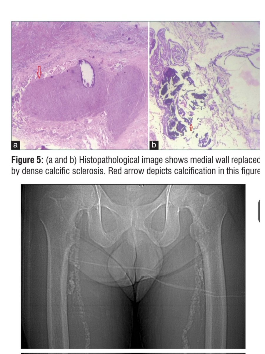 VSI journal IJVES tweet media
