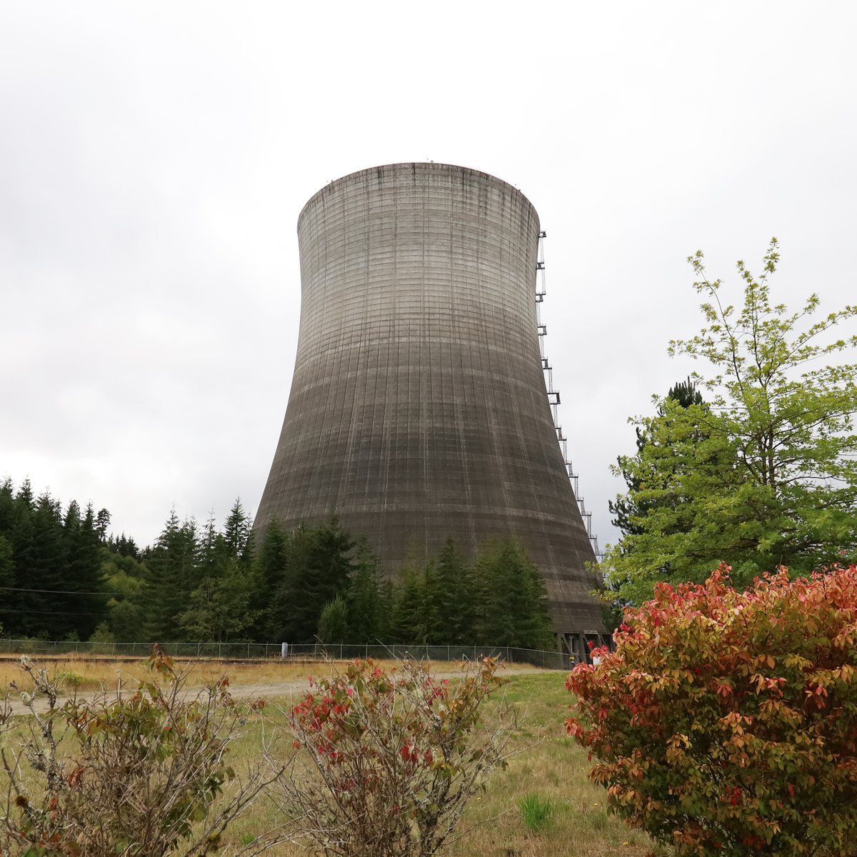 SandyHorne61's tweet photo. Speaking of nuclear power - I saw the Satsop Nuclear Power Plant while in Washington state. With massive cost overruns, it was mothballed in 1983 before it produced any electricity. This white elephant still stands because it's too expensive to pull it down. https://t.co/EHCOTeG406