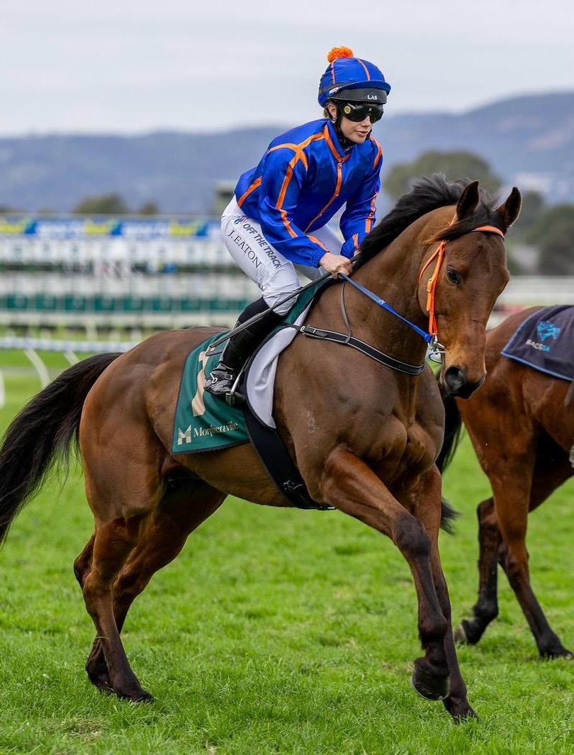 The team is off to <a href="/TheValley/">Moonee Valley Racing Club</a> tonight! 

Stable favourite Lottaroc looking to go one better tonight after a brave 2nd last start 

He's in R4 over 2400m with Tom Prebble aboard 🏇🏇🏇

We think he'll be suited rising in distance and should be in the finish 🤞🤞

🟠🔵🟠🔵🟠🔵🟠