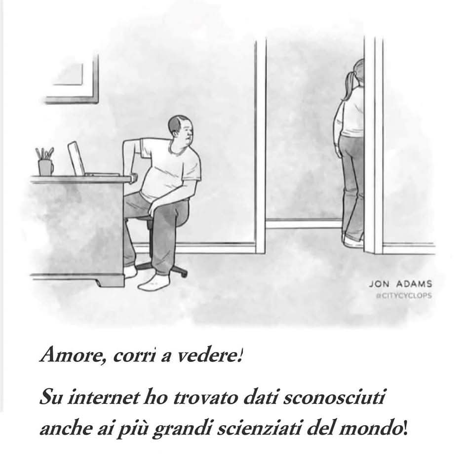 Alice Rotelli tweet media