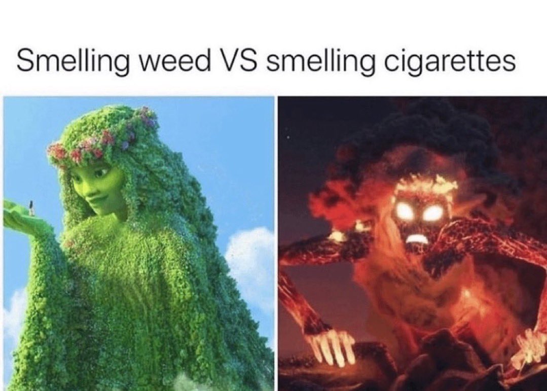 Stoner Barbie (@stonersvilla) on Twitter photo 