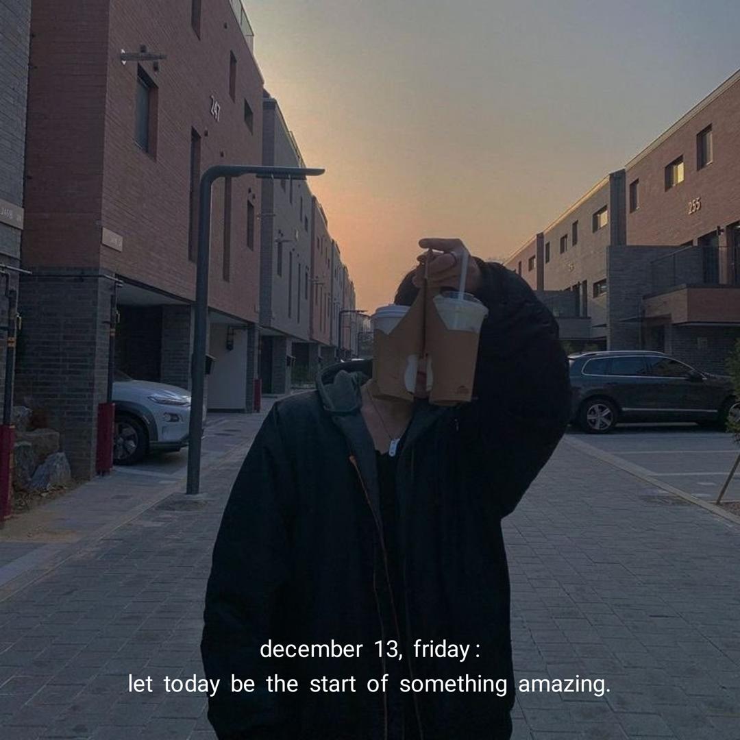 mood novella tweet media