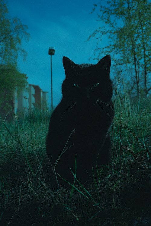 Maria Voynova, Ukrainian photographer #WomensArt