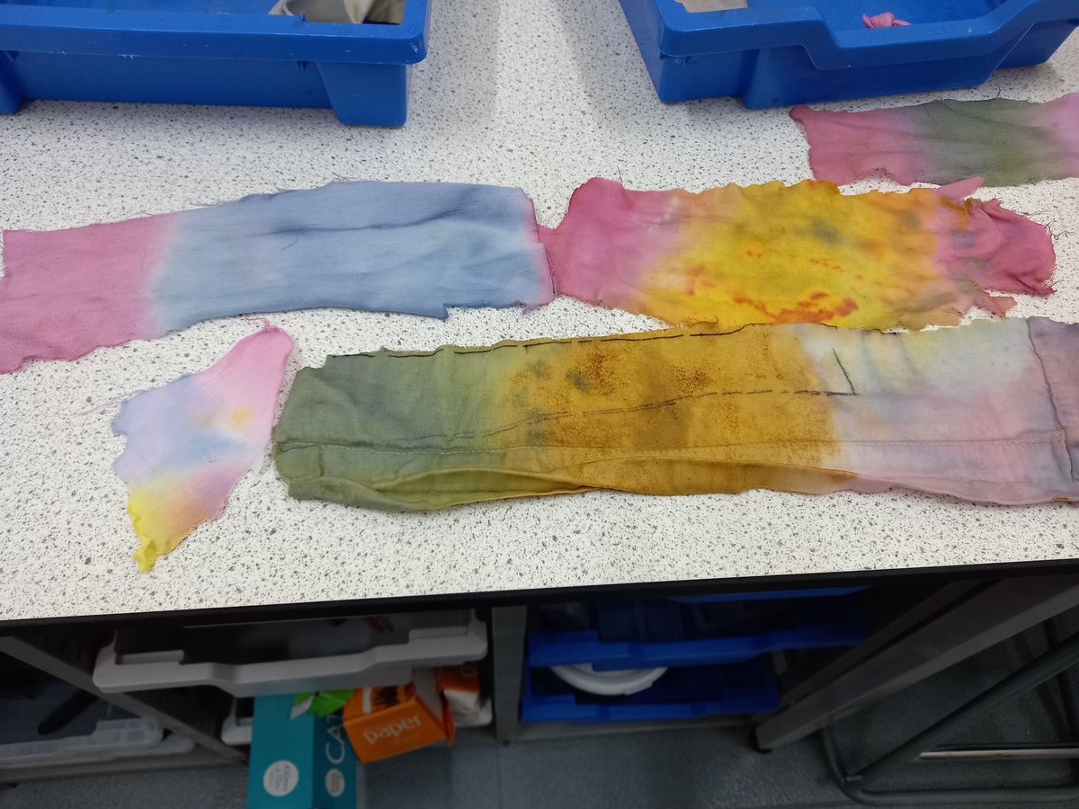 Science club have been investigating natural dyes over the last few weeks. Here's the final results - some great colours