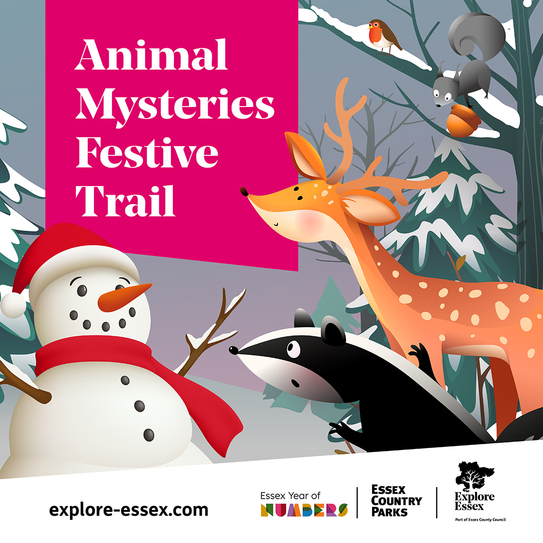 ExploreEssex's tweet photo. The weather is looking more settled this weekend. Don't stay indoors. Wrap up warm and try our Free Festive Animal Mysteries Trail at the #EssexCountryParks  🧤🧣🦌⛄

#Thorndon #Weald #BelhusWoods #HadleighPark #GreatNotley #CudmoreGrove #CressingTempleBarns #Danbury https://t.co/ZfsG3ZczF9