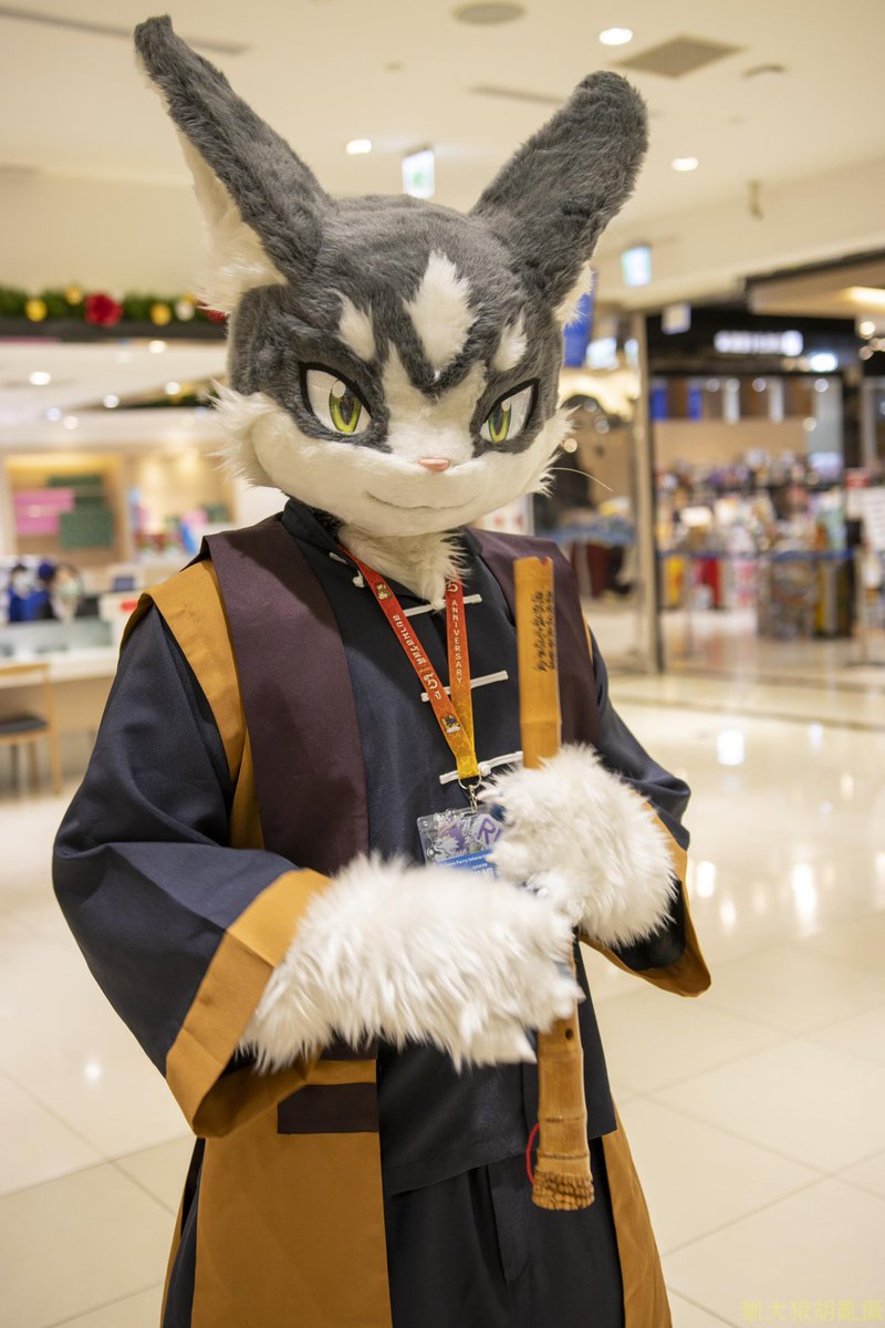 氷羽猫 ✈️ (@haneneko0909) / Posts / X