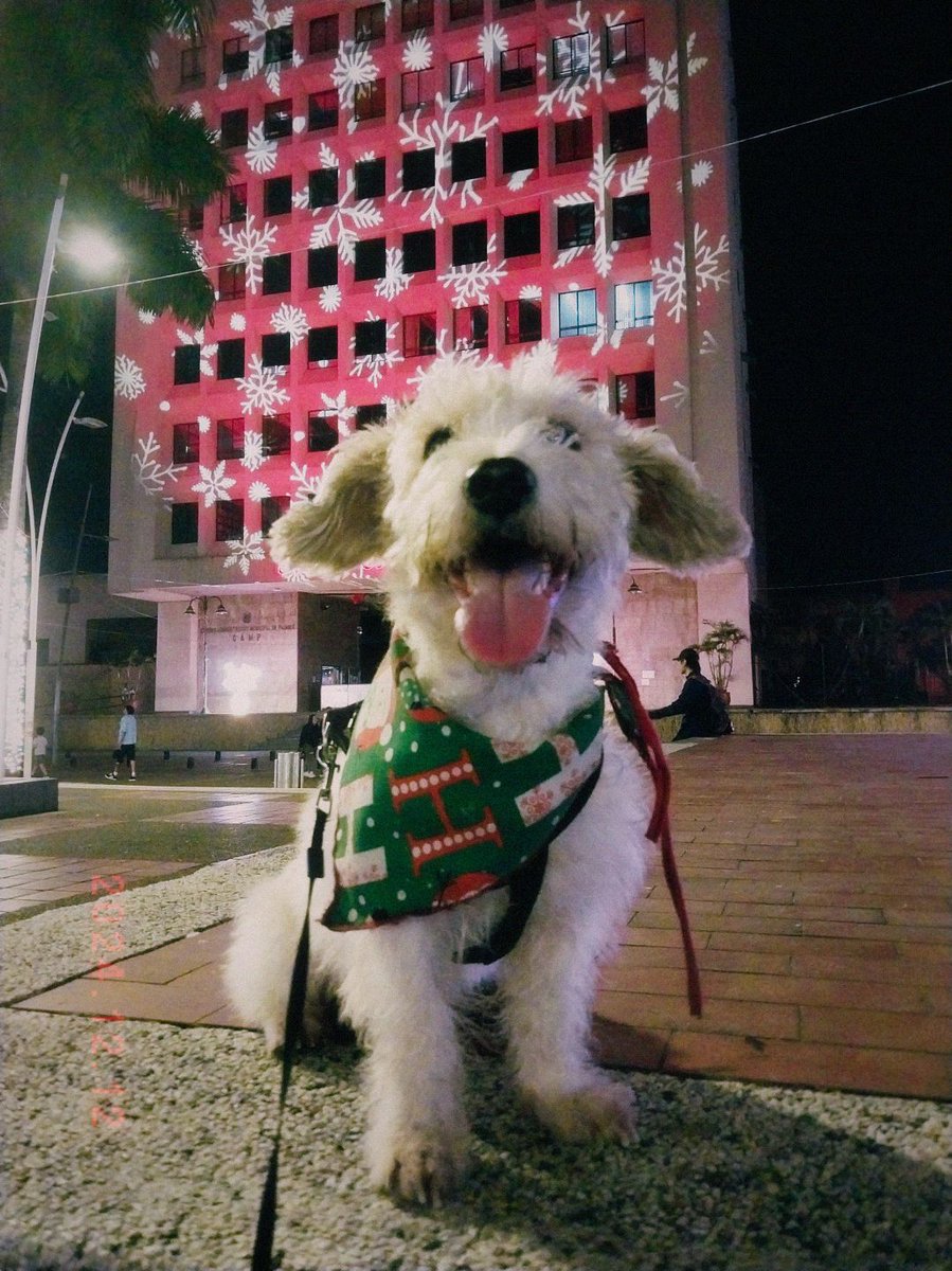 LoneliNEXT tweet media