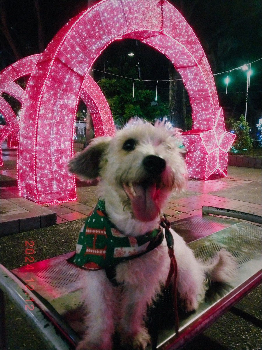 LoneliNEXT tweet media