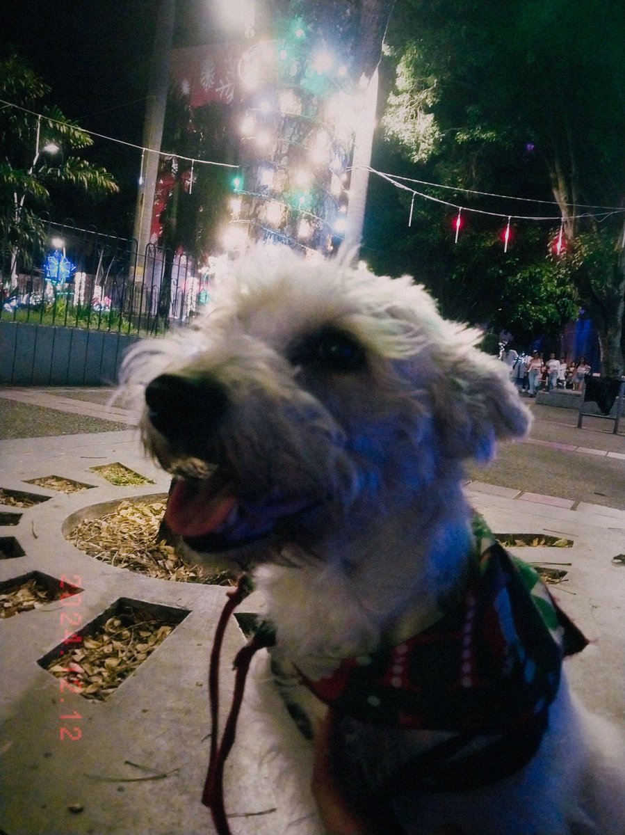 LoneliNEXT tweet media