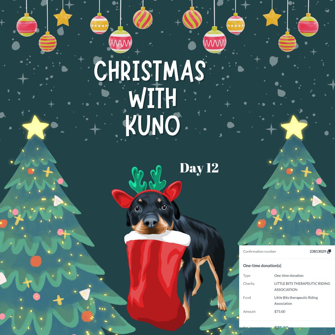 servicerotties's tweet photo. It's very late at night on Day 12 of the #ChristmasWithKuno #CharityAdvent Countdown. Tonight we're giving a small gift to the Little Bits Therapeutic Riding Association. 
For almost 50 years @LittleBitsYEG have provided the opportunity to learn about horsemanship and riding to both children and adults with significant disabilities. 
There's no arguing the therapeutic value of animals, but with horses, it's pretty special. It teaches trust, patience, communication and empathy. It also builds self confidence as the horse and rider start to develop a partnership. What might have seemed impossible to one of the participants early on, starts to become possible, and at some point even probable.
However horses are not inexpensive. Hay is costly. There's vet bills, farriers to maintain hooves, and in this case, custom equipment to like special saddles.
If you'd like to help this awesome organization make an impact on people's lives, either by donating, or if you're in the #Edmonton area, by volunteering, give them a follow here on X or visit them at https://t.co/mZs6dwNXzg

Thank you again for sharing these posts to help get these smaller, less known charities, get some much needed exposure. Several of you chipped in to help make sure we can give a small gift to 24 causes. You have no idea how much I appreciate that. Whether you donate or share these posts, you're helping and it just makes me so happy to see so many people trying to make the world a little better for others. 
XOXO
Kuno